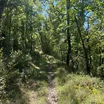 De Charme Champetre Laburgade