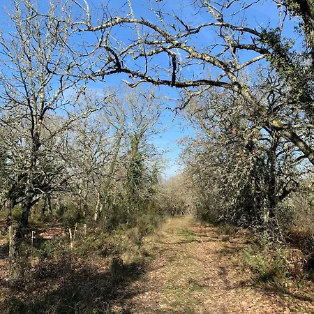 De Charme Champetre Holiday home Laburgade