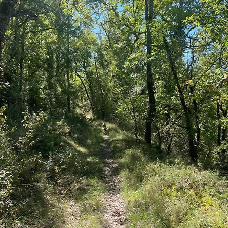 De Charme Champetre Laburgade