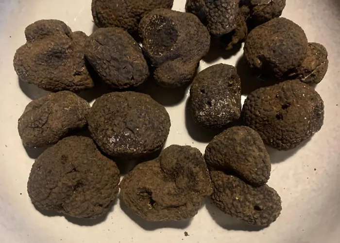 De Charme Champetre *