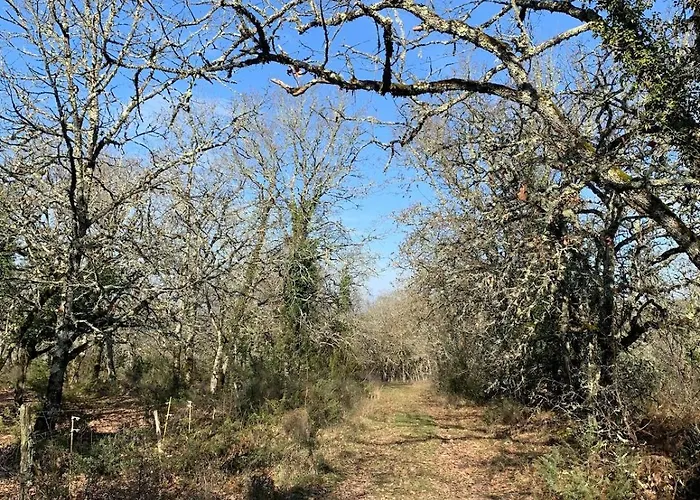 De Charme Champetre Дом отдыха Laburgade