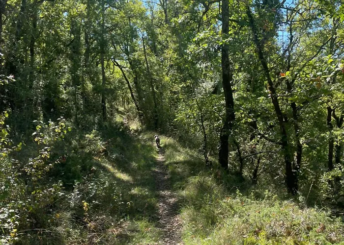 De Charme Champetre Laburgade